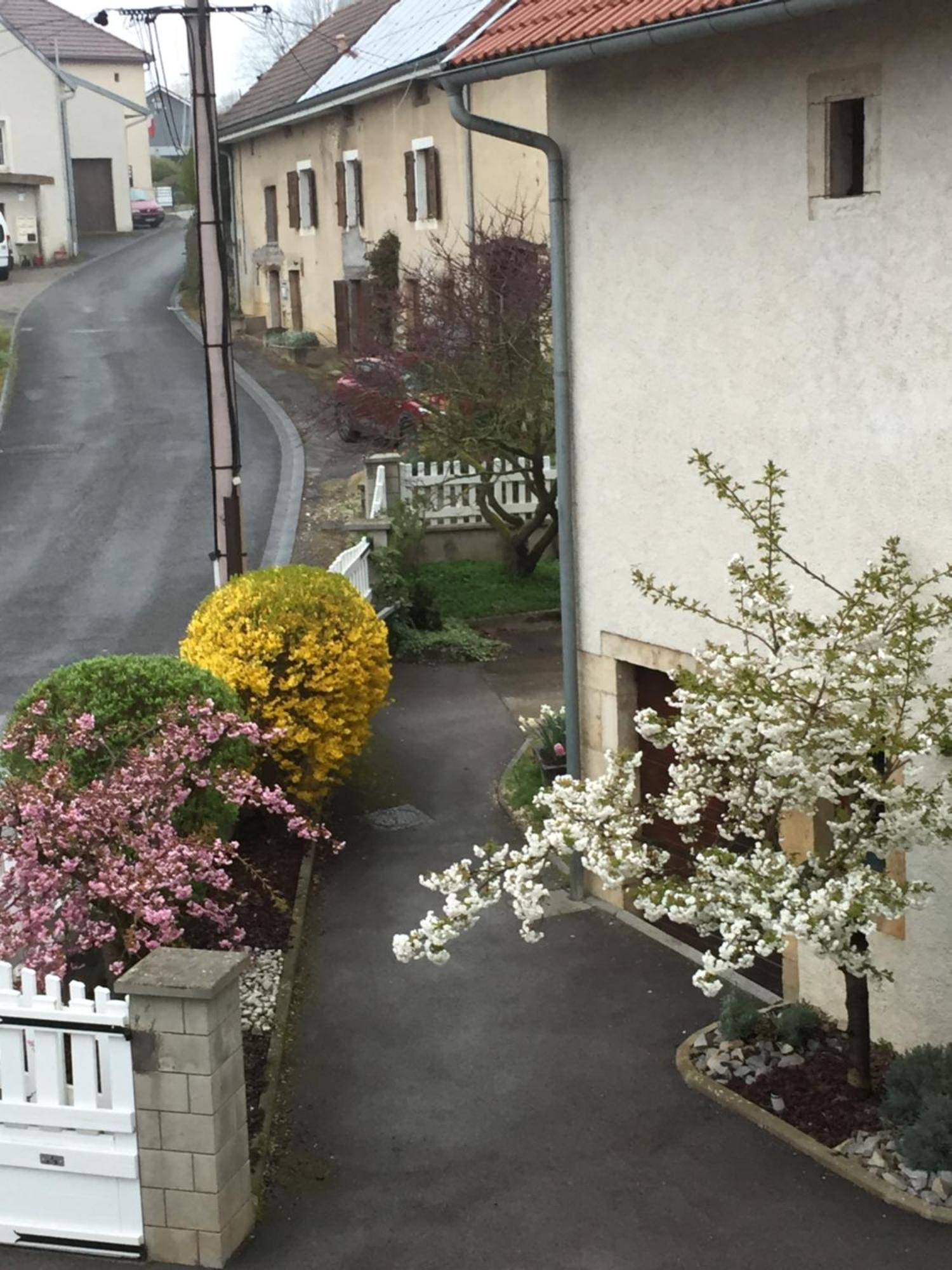 Appartement Ravissant En Bordure Du Doubs Longevelle-sur-Doubs Eksteriør billede